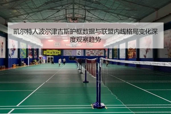 凯尔特人波尔津吉斯护框数据与联盟内线格局变化深度观察趋势